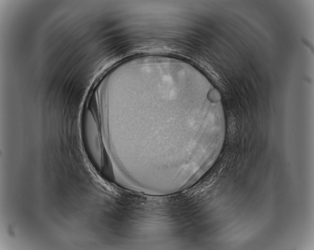 X0000096470840200802211148