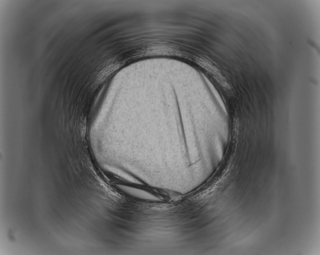 X0000096470841200802211148