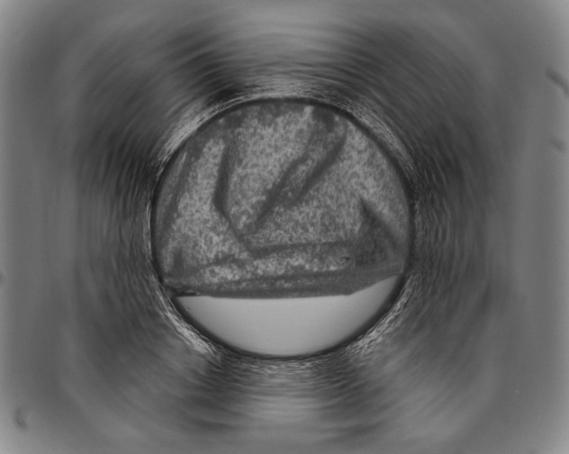 X0000096470842200802211148