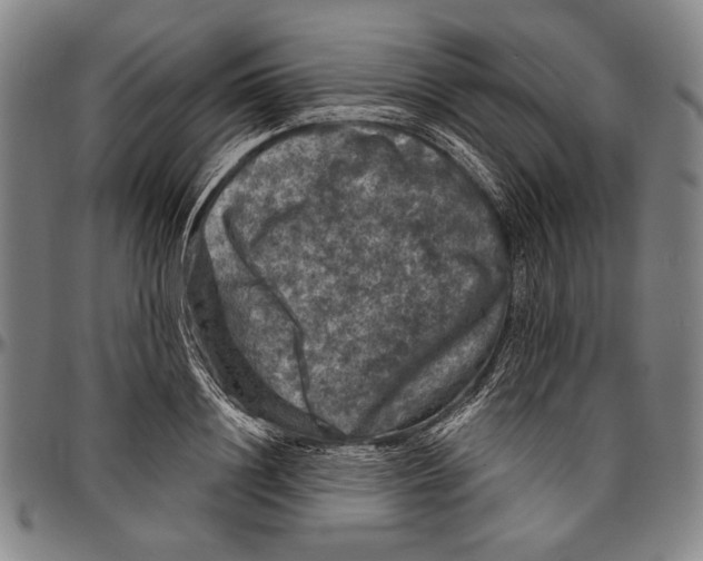 X0000096470844200802211148