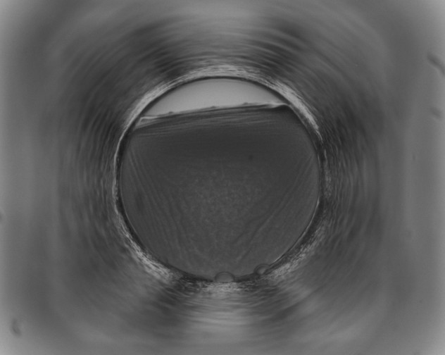 X0000096470845200802211148