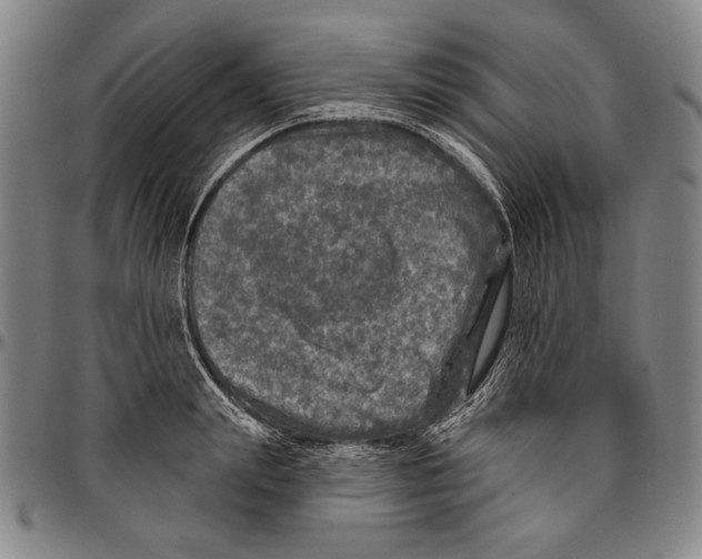 X0000096470847200802211148