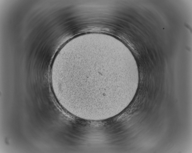 X0000096470848200802211148