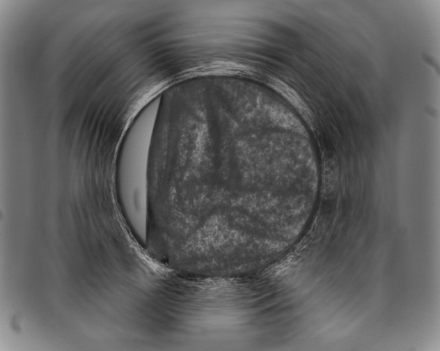 X0000096470850200802211148