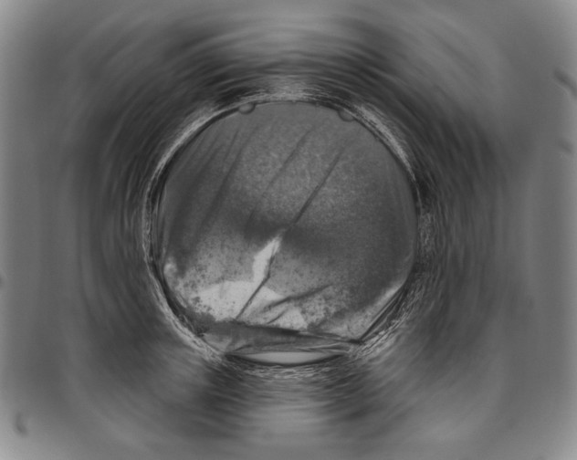 X0000096470851200802211148