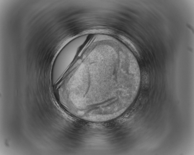 X0000096470852200802211148