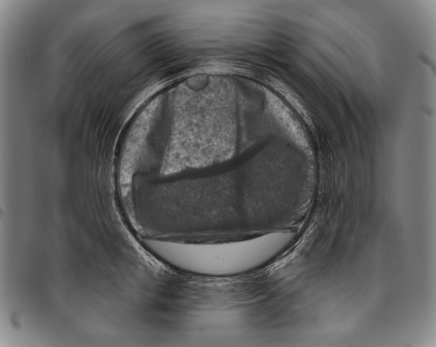 X0000096470853200802211148