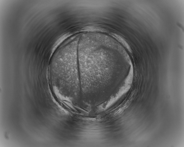 X0000096470855200802211148