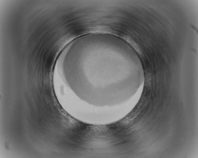 X0000096470856200802211148