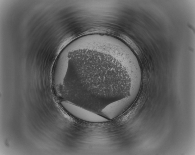 X0000096470858200802211148