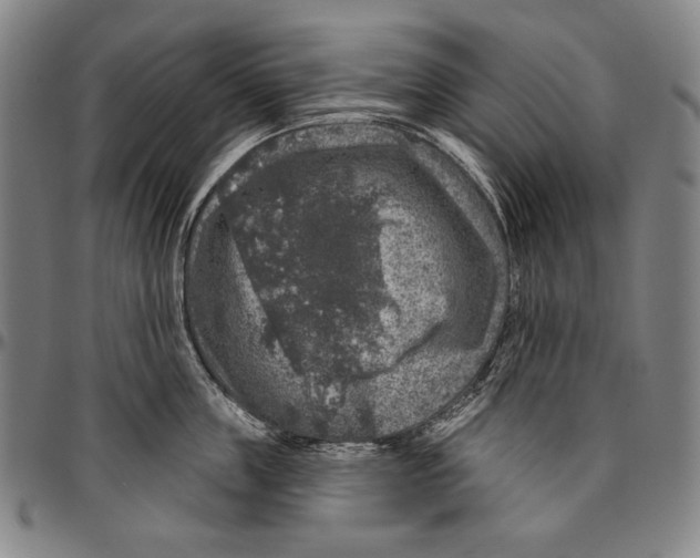 X0000096470859200802211148