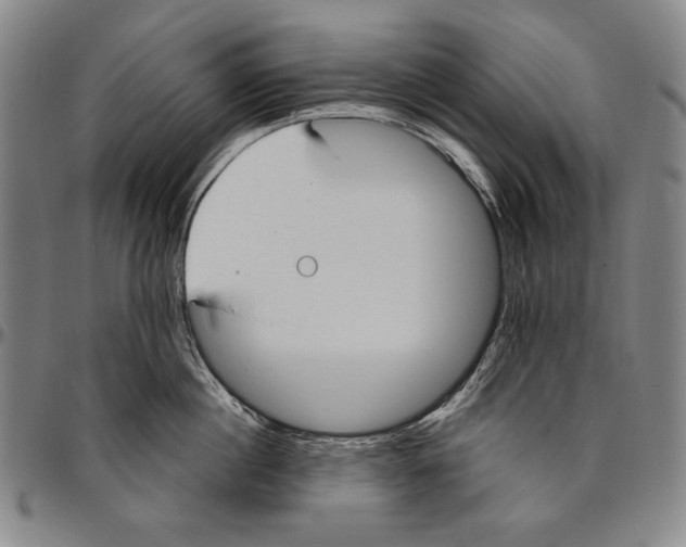 X0000096470860200802211149