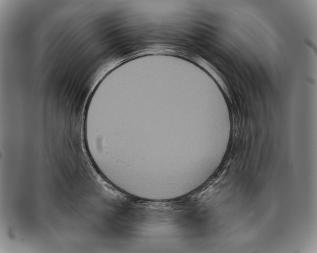 X0000096470861200802211149