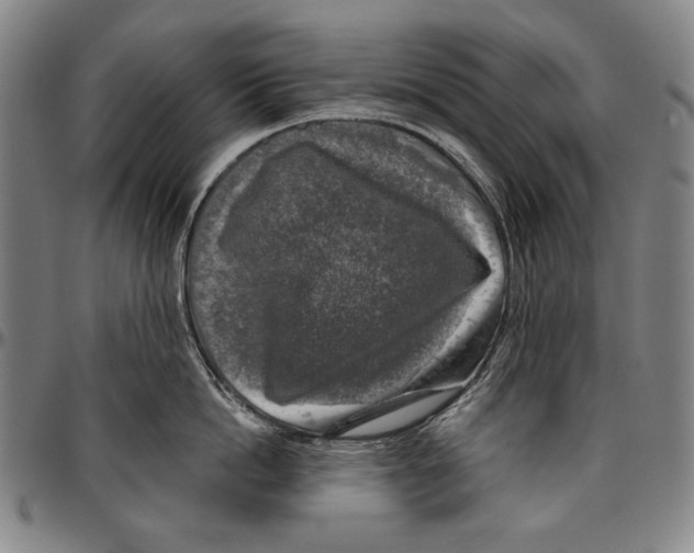 X0000096470862200802211149