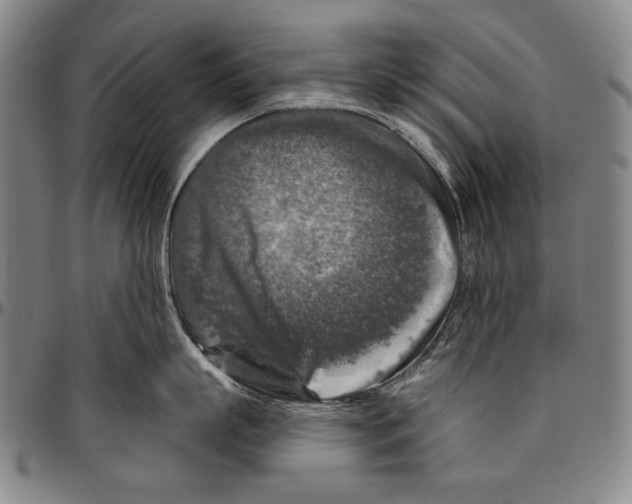 X0000096470863200802211149