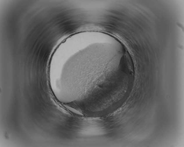 X0000096470864200802211149