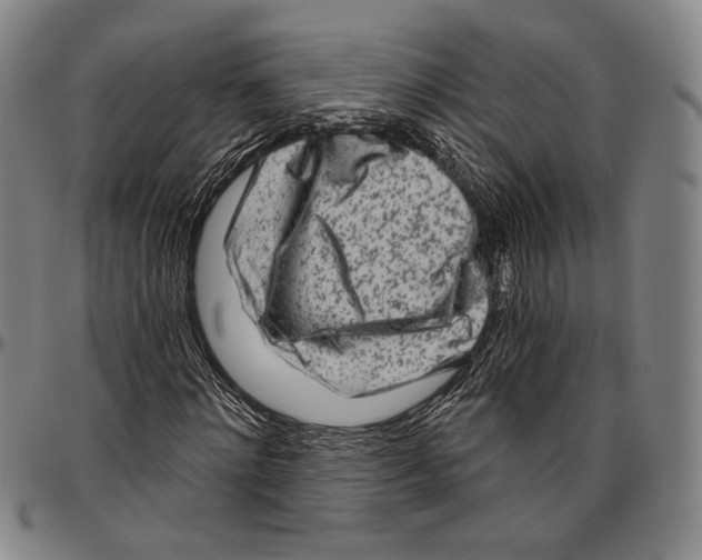 X0000096470868200802211148