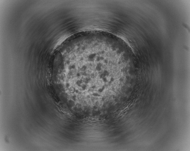 X0000096470871200802211148