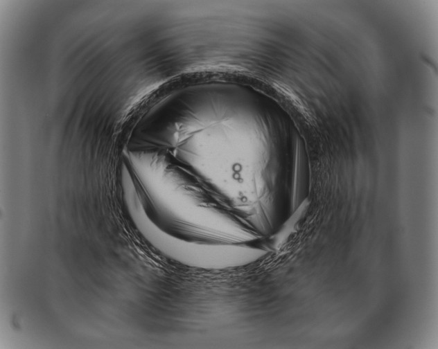 X0000096470872200802211148