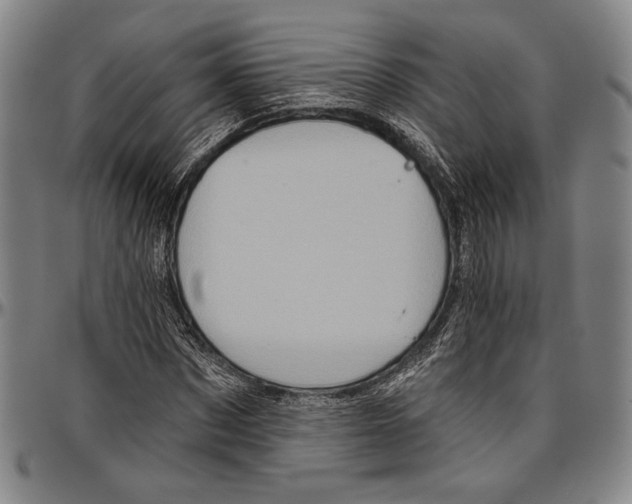 X0000096470873200802211148