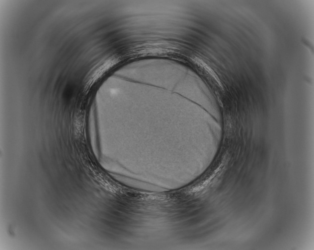 X0000096470874200802211148