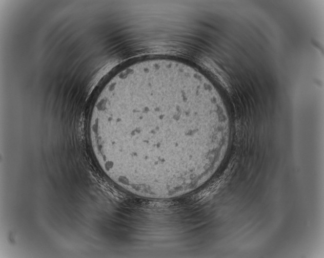 X0000096470875200802211148