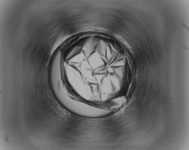 X0000096470877200802211148