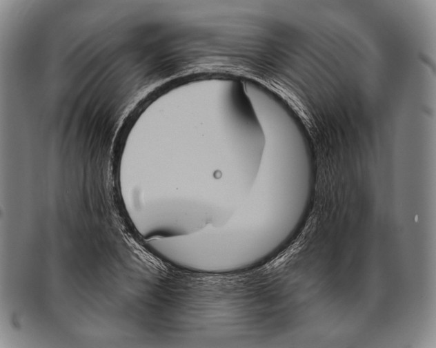 X0000096470880200802211148