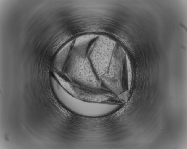 X0000096470881200802211148