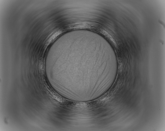 X0000096470882200802211148