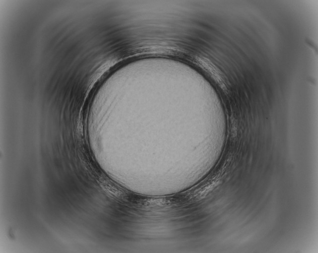 X0000096470883200802211148