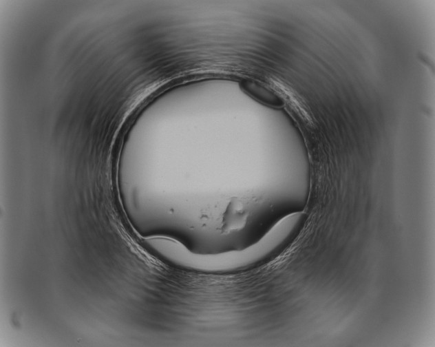 X0000096470884200802211148