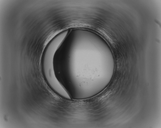 X0000096470885200802211148