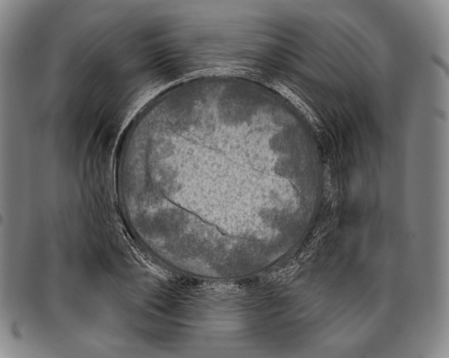 X0000096470886200802211148