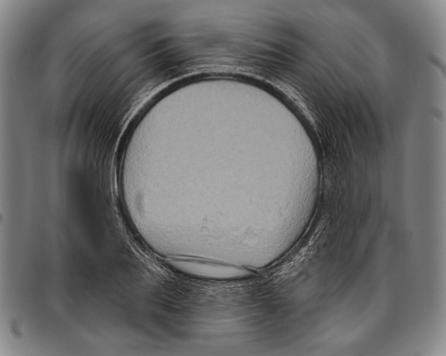 X0000096470887200802211148