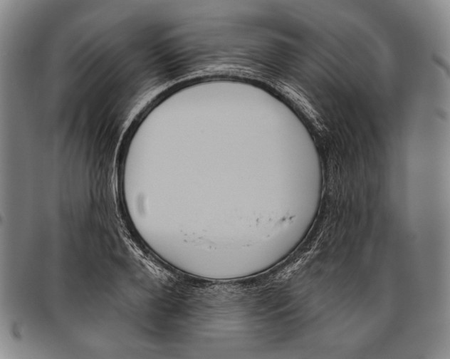 X0000096470888200802211148