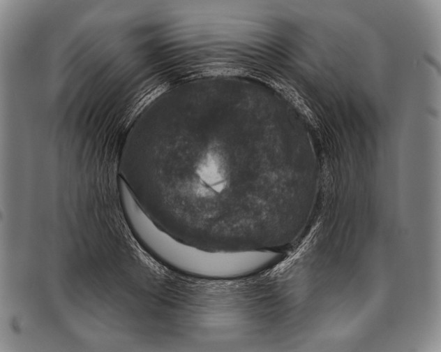 X0000096470889200802211148