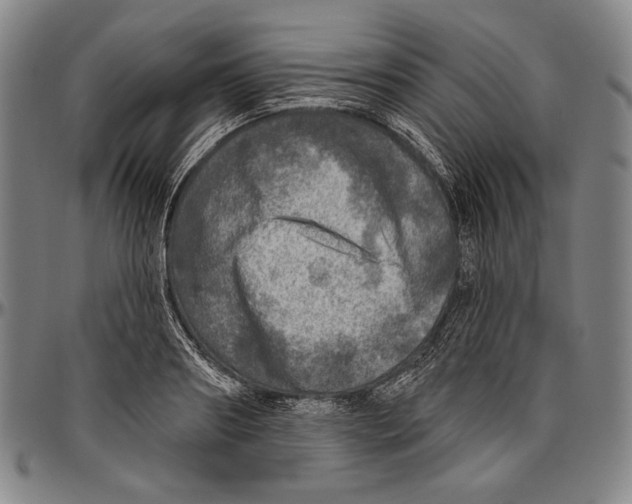 X0000096470890200802211148