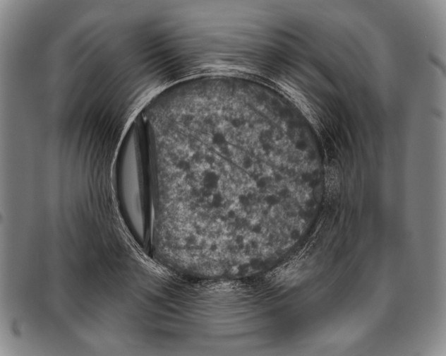 X0000096470891200802211148