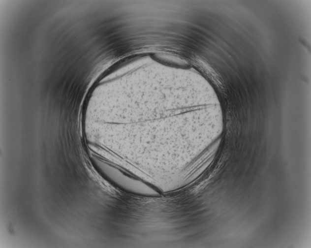 X0000096470892200802211148