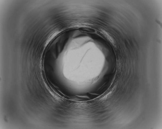 X0000096470893200802211148