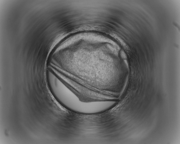 X0000096470894200802211147