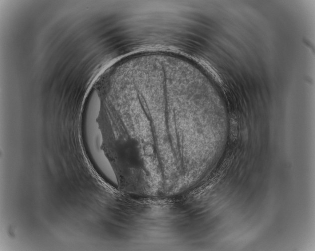 X0000096470895200802211147