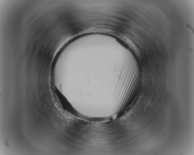 X0000096470896200802211147