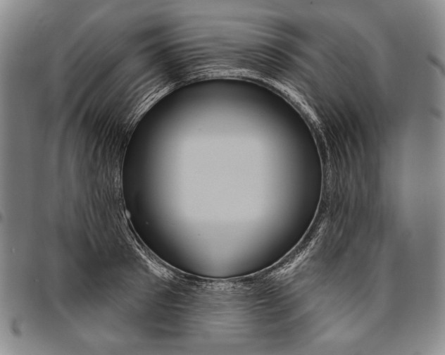 X0000096470897200802211147