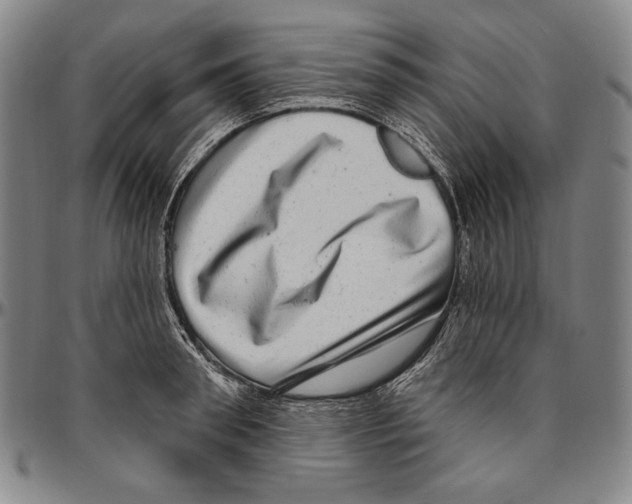 X0000096470898200802211147