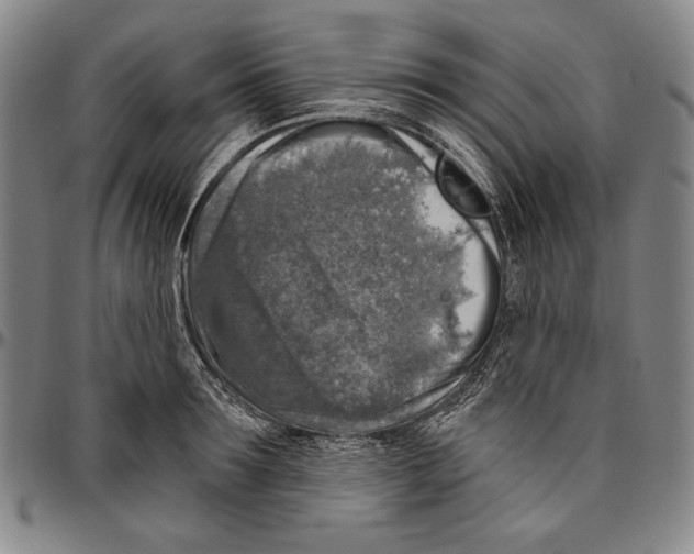 X0000096470899200802211147