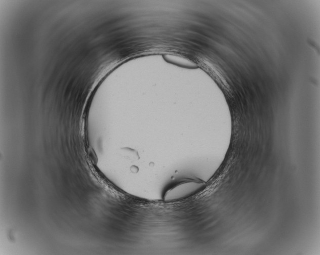 X0000096470900200802211147