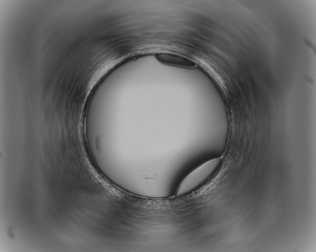 X0000096470901200802211147