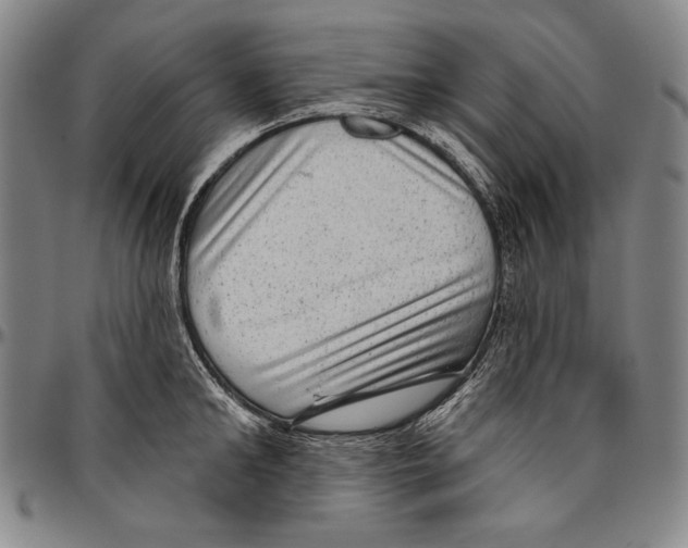 X0000096470902200802211147